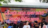 Lễ hội hoa anh đào